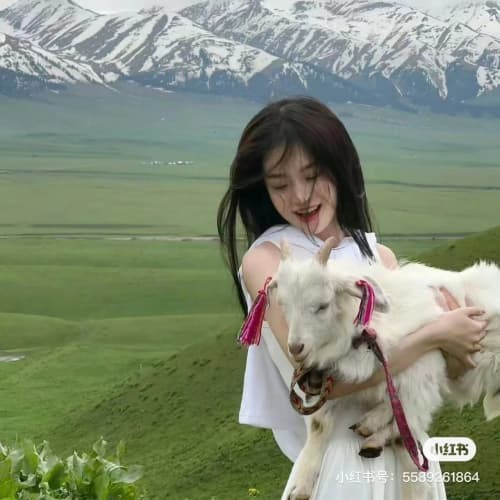小兔兒  