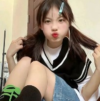 紫色鳶尾花