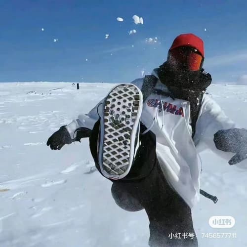 不拔